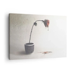 Schilderen op canvas - Een rode roos in een pot met druppels kleurstof op een witte achtergrond - 70x50cm - Rosa dolorosa - Moderne wanddecoratie voor woonkamer en slaapkamer ARTTOR