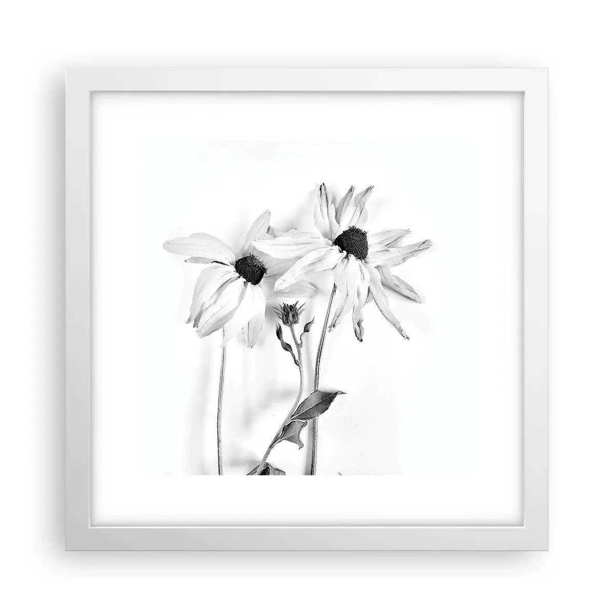 Poster in een witte lijst - Niemand wil alleen zijn - 30x30 cm