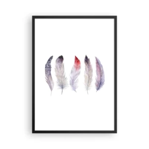 Poster in een zwarte lijst - Kleurrijke veren op een witte achtergrond in een delicate stijl - 50x70cm - Delicaat als veelkleurige mist - Moderne wanddecoratie voor woonkamer en slaapkamer ARTTOR
