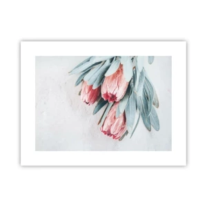 Poster - Schaamt zich voor hun eigen schoonheid - 40x30 cm