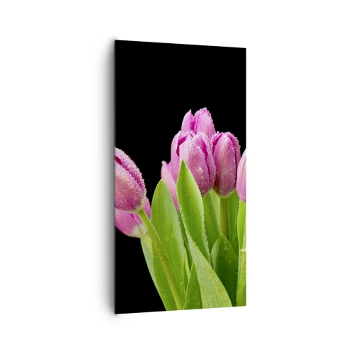 Schilderen op canvas - Lila vreugde van de lente - 65x120 cm