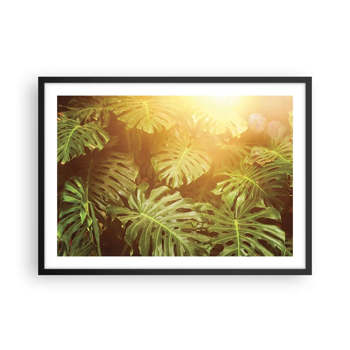 Poster in een zwarte lijst - In het groen treden... - 70x50 cm