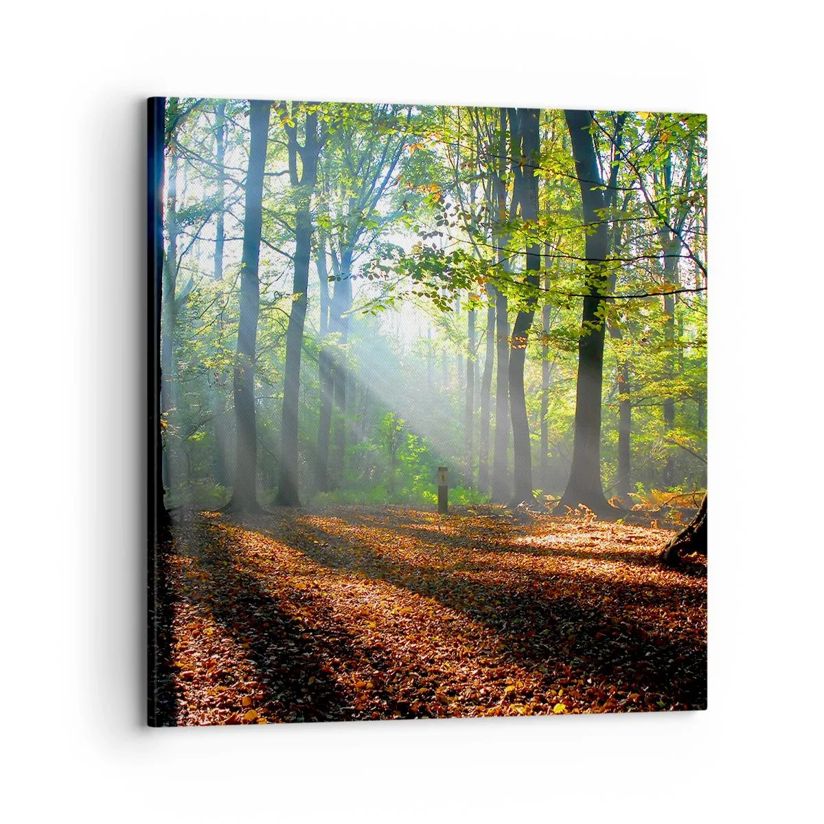 Schilderen op canvas - Lichten en schaduwen - 70x70 cm