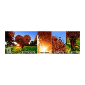 Fotobehang Monster Zelfklevend Deluxe Sticker - En hoe kun je niet van de herfst houden - Landschap, Boom, Stralen van de zon - 100x30 cm