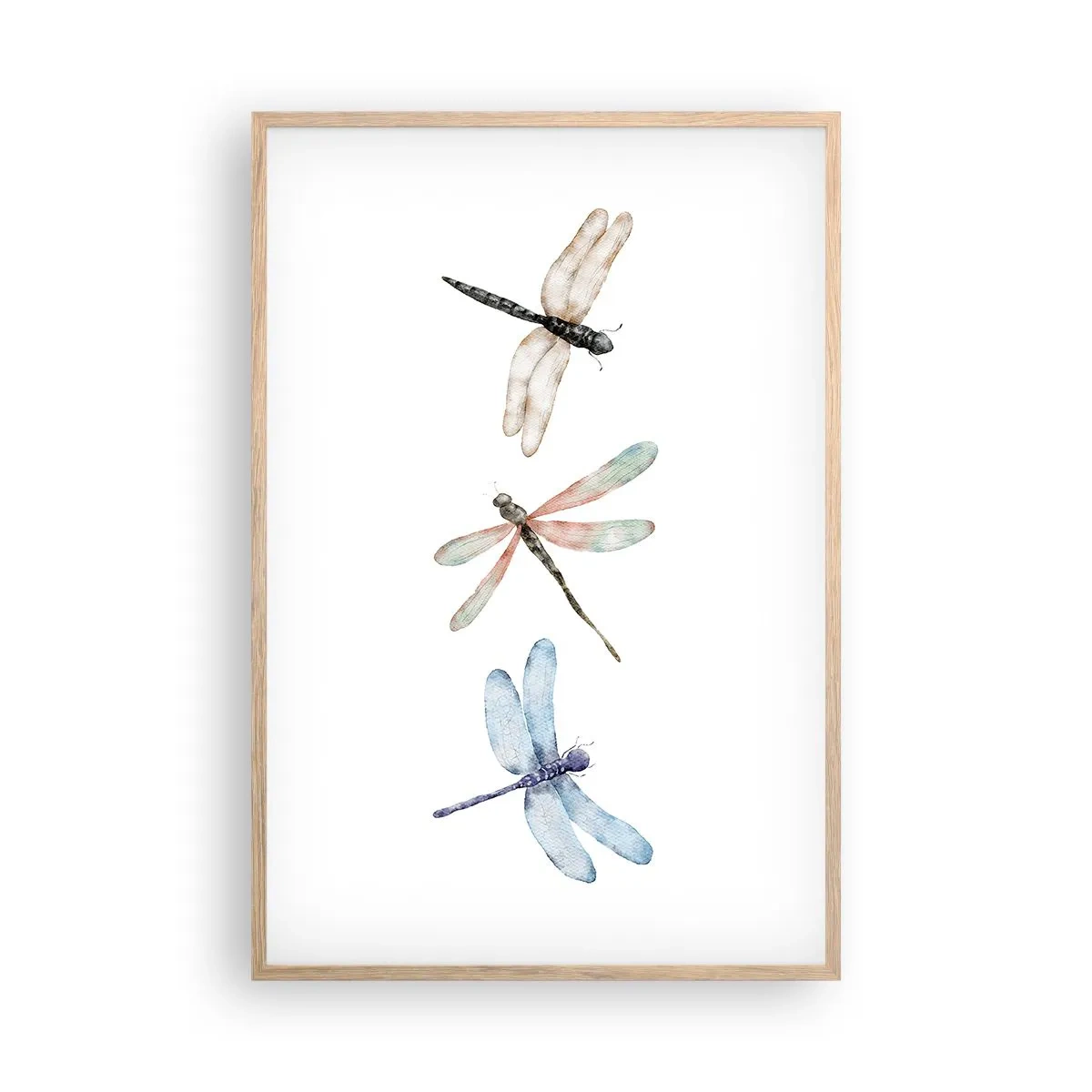 Een poster in een licht eiken lijst - Gewichtloze libellen - 61x91 cm