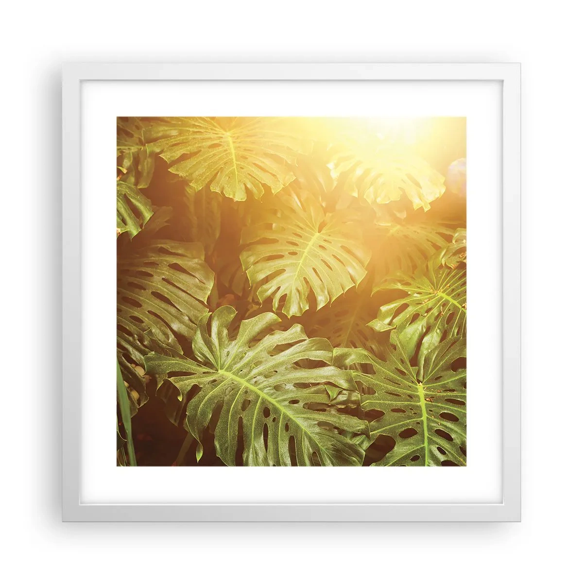 Poster in een witte lijst - In het groen treden... - 40x40 cm