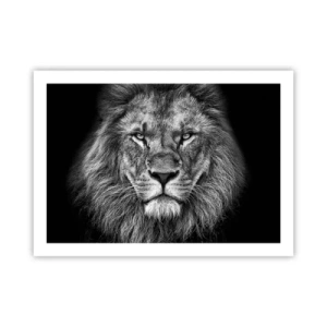 Poster - In een kroningskleed - 70x50 cm