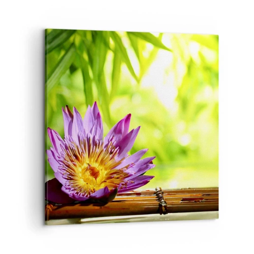 Schilderen op canvas - In de Aziatische zon - 50x50 cm