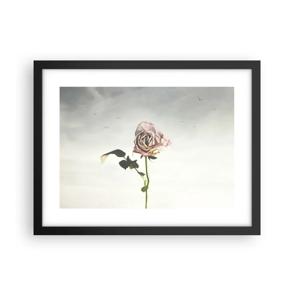 Poster in een zwarte lijst - Begroeting van de lente - 40x30 cm