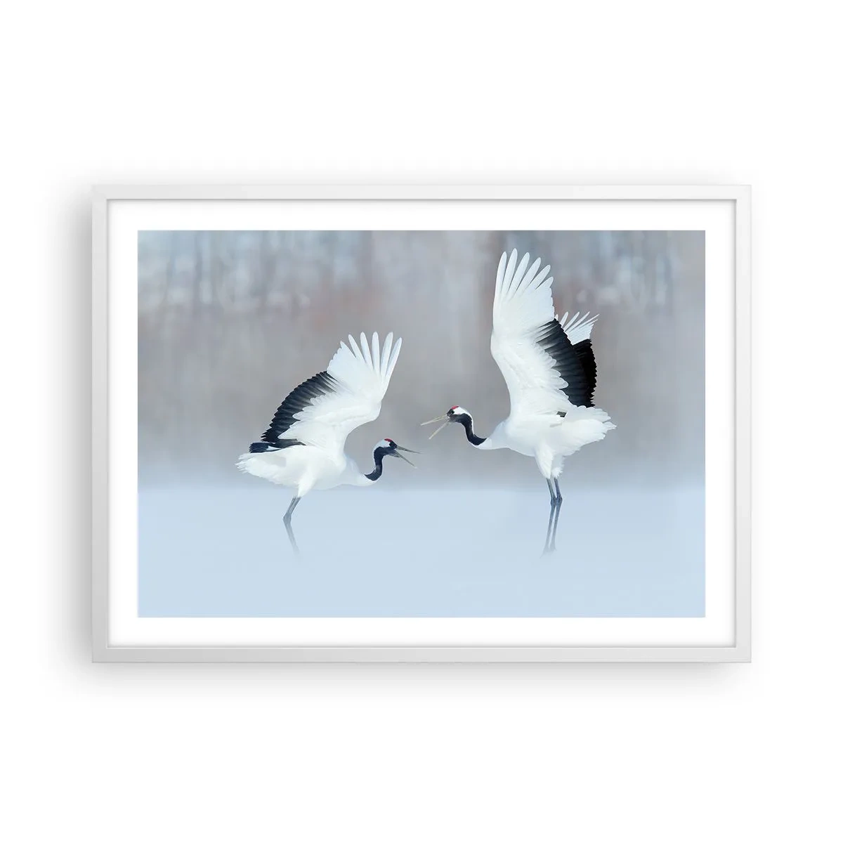 Poster in een witte lijst - Dans in de mist - 70x50 cm