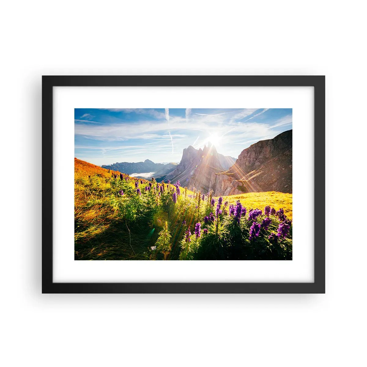 Poster in een zwarte lijst - Het geheime leven van kruiden - 40x30 cm