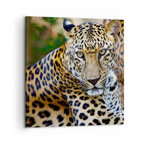 Schilderen op canvas - Wild en kalm - 60x60 cm