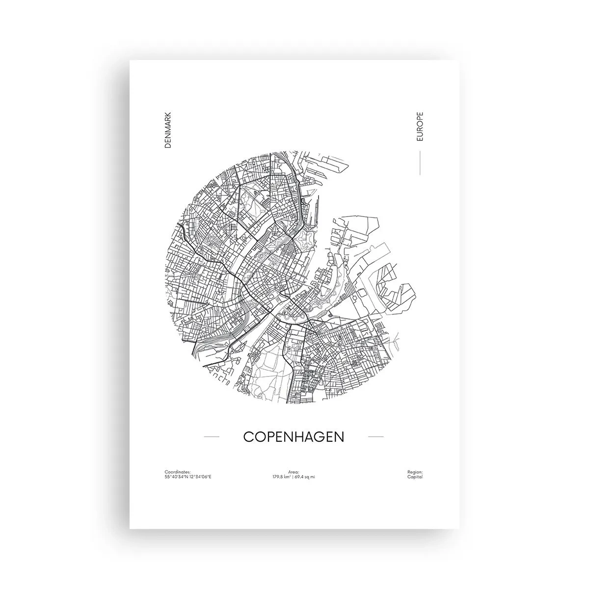Poster - Anatomie van Kopenhagen - 70x100 cm