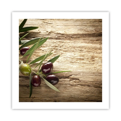 Poster - Rechtstreeks uit de natuur - 50x50 cm