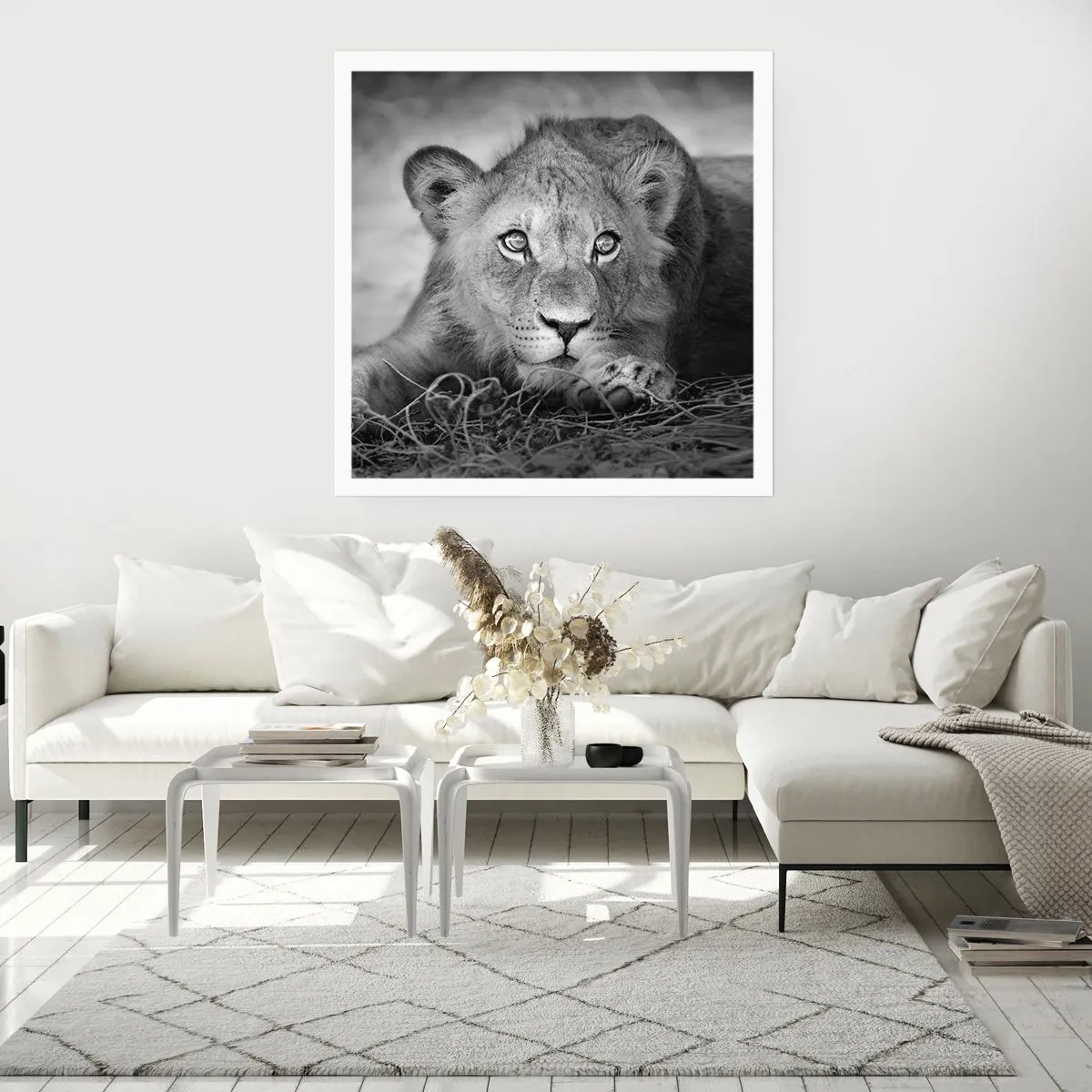 Poster - Koninklijke puppy - 40x40 cm