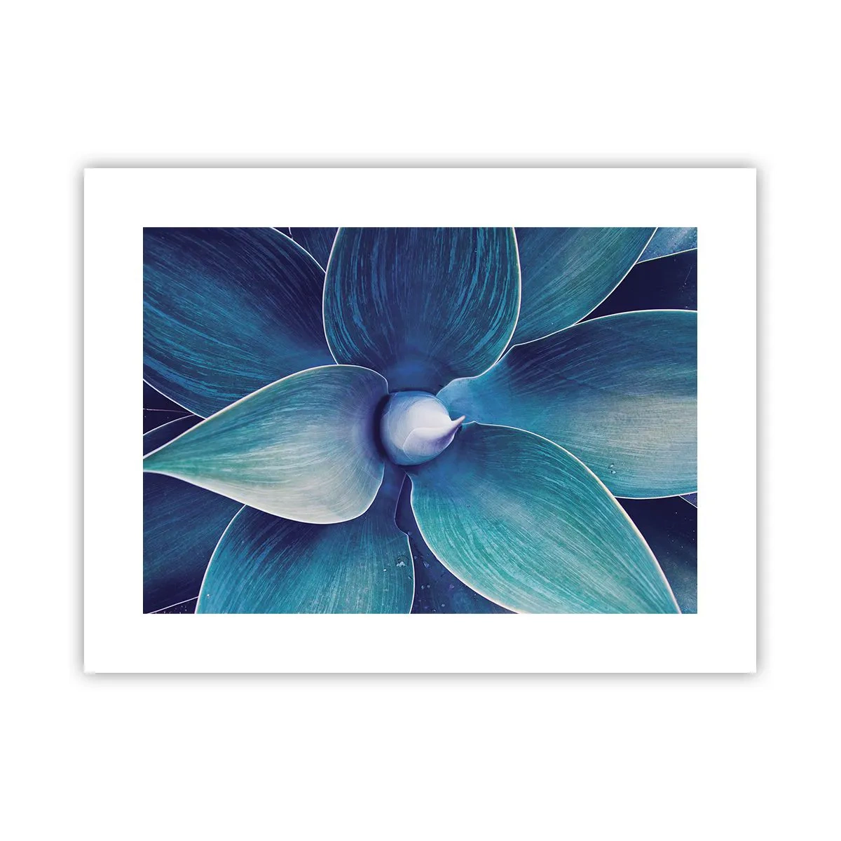 Poster - Blauw uit de lucht - 40x30 cm