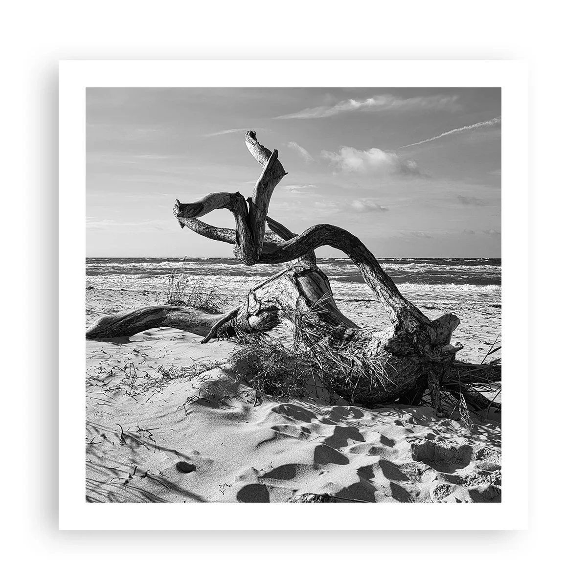 Poster - Zee sculptuur - 60x60 cm