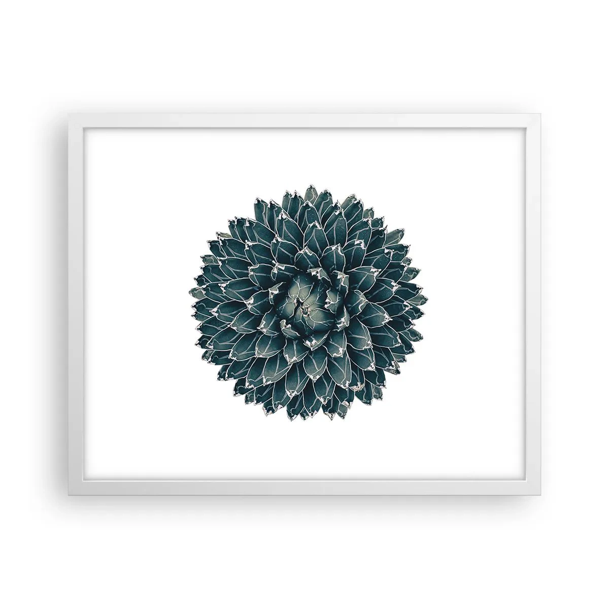 Poster in een witte lijst - De ster van de woestijn - 50x40 cm