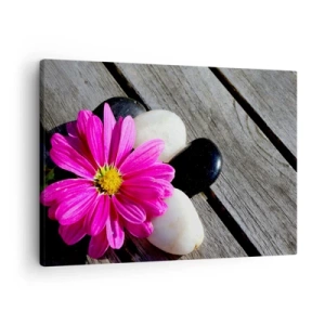 Schilderen op canvas - Roze bloem op een achtergrond van houten planken met stenen - 70x50cm - Rust op de pier - Moderne wanddecoratie voor woonkamer en slaapkamer ARTTOR