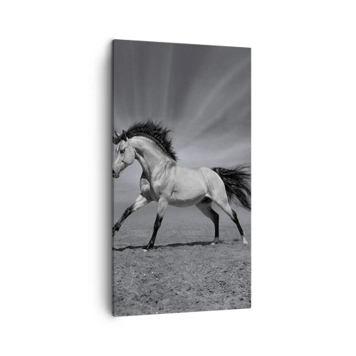 Schilderen op canvas - Geboren om te genieten - 45x80 cm