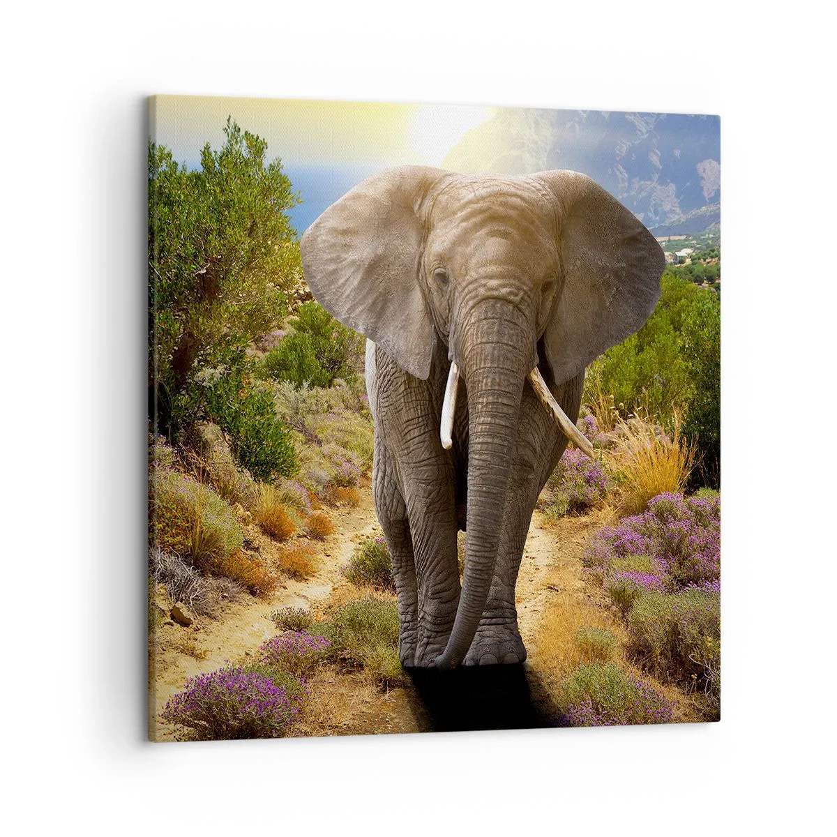 Schilderen op canvas - Zo zag Eden eruit - 50x50 cm