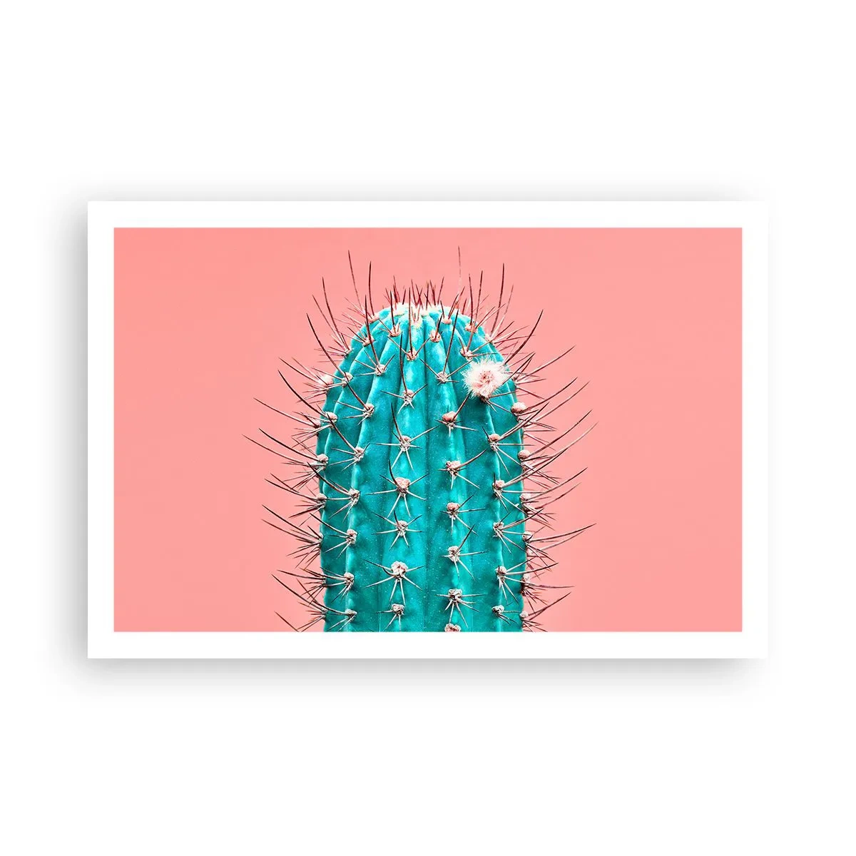 Poster - Kijk gewoon - 91x61 cm