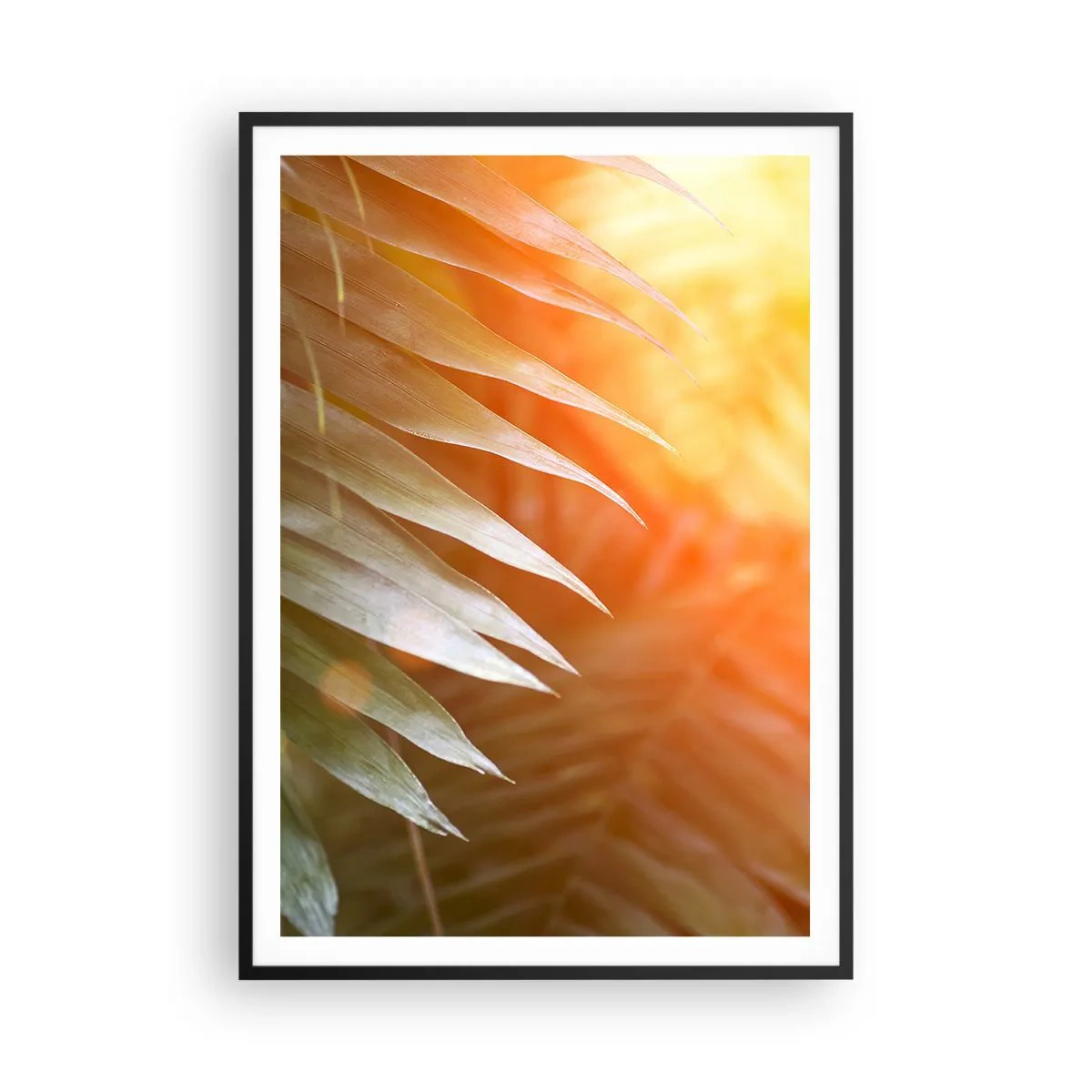 Poster in een zwarte lijst - Ochtend in de jungle - 70x100 cm
