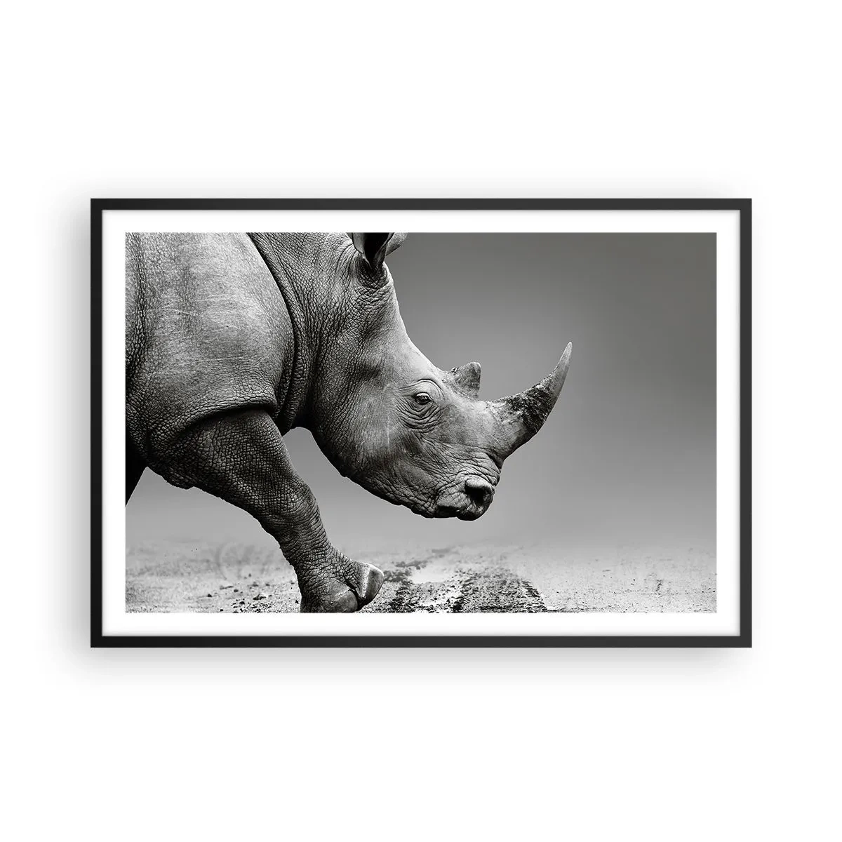 Poster in een zwarte lijst - Onstuitbare kracht - 91x61 cm