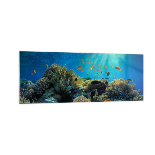 Schilderen op glas - Onderwater schatten - 140x50 cm