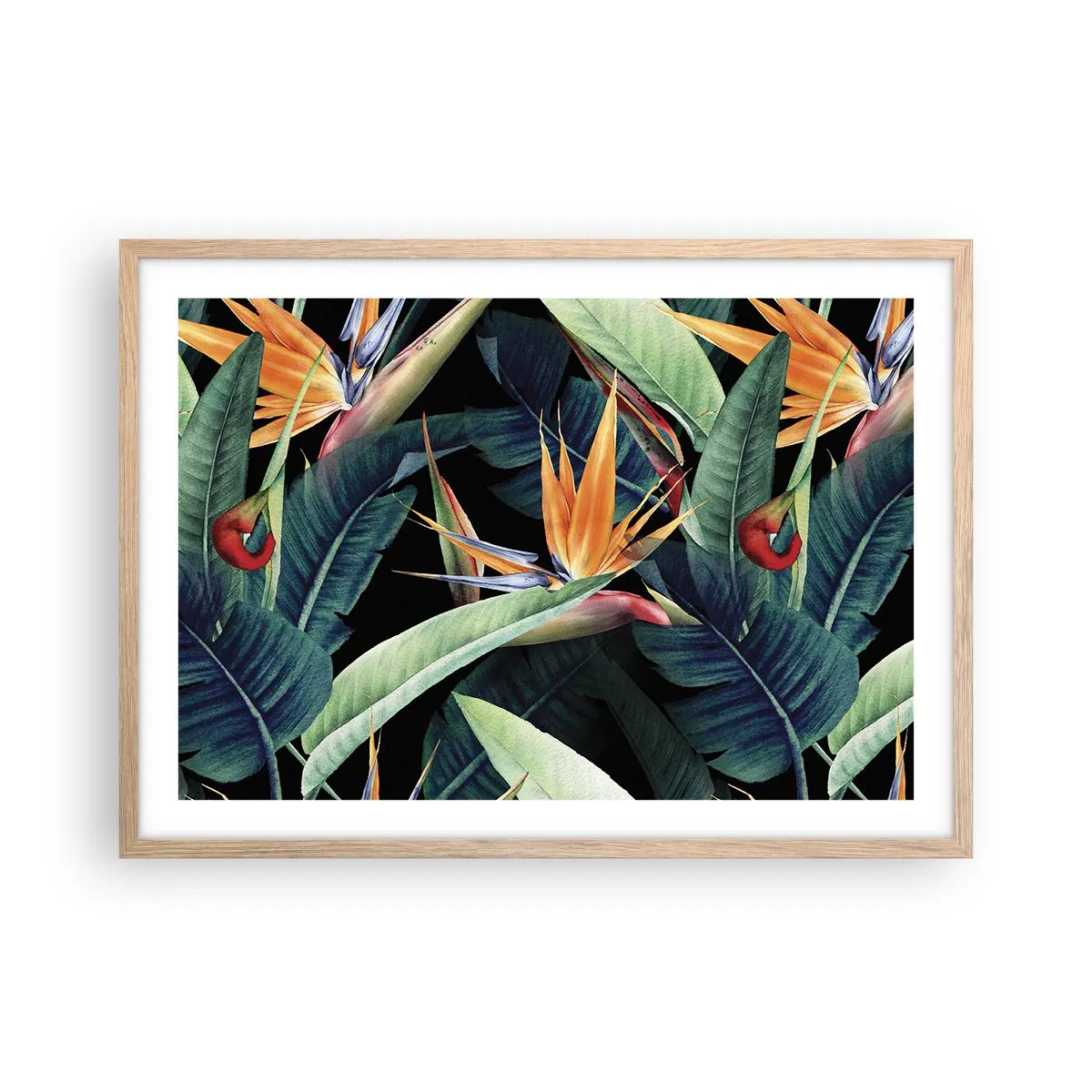 Een poster in een licht eiken lijst - Vlammende bloemen van de tropen - 70x50 cm