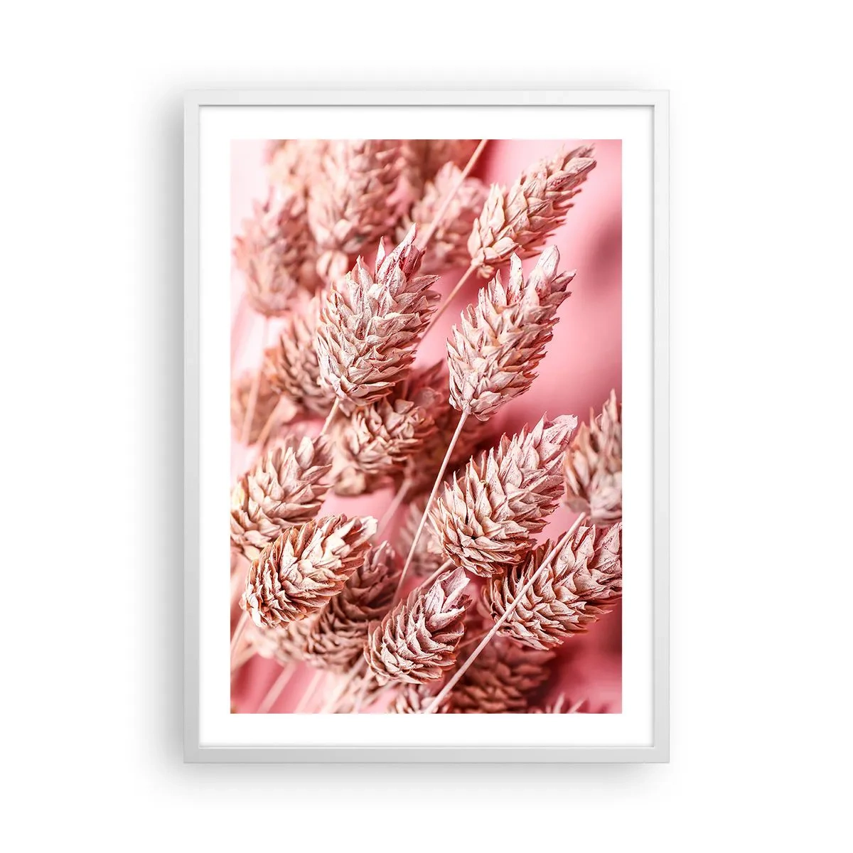 Poster in een witte lijst - Een bloemencascade in roze - 50x70 cm