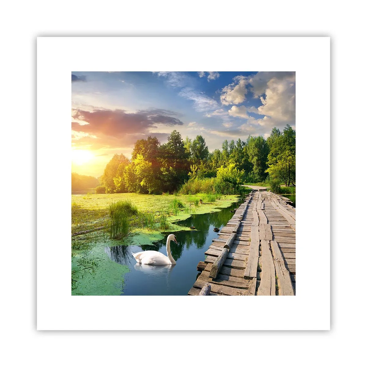 Poster - Zomer, zomer overal - 30x30 cm