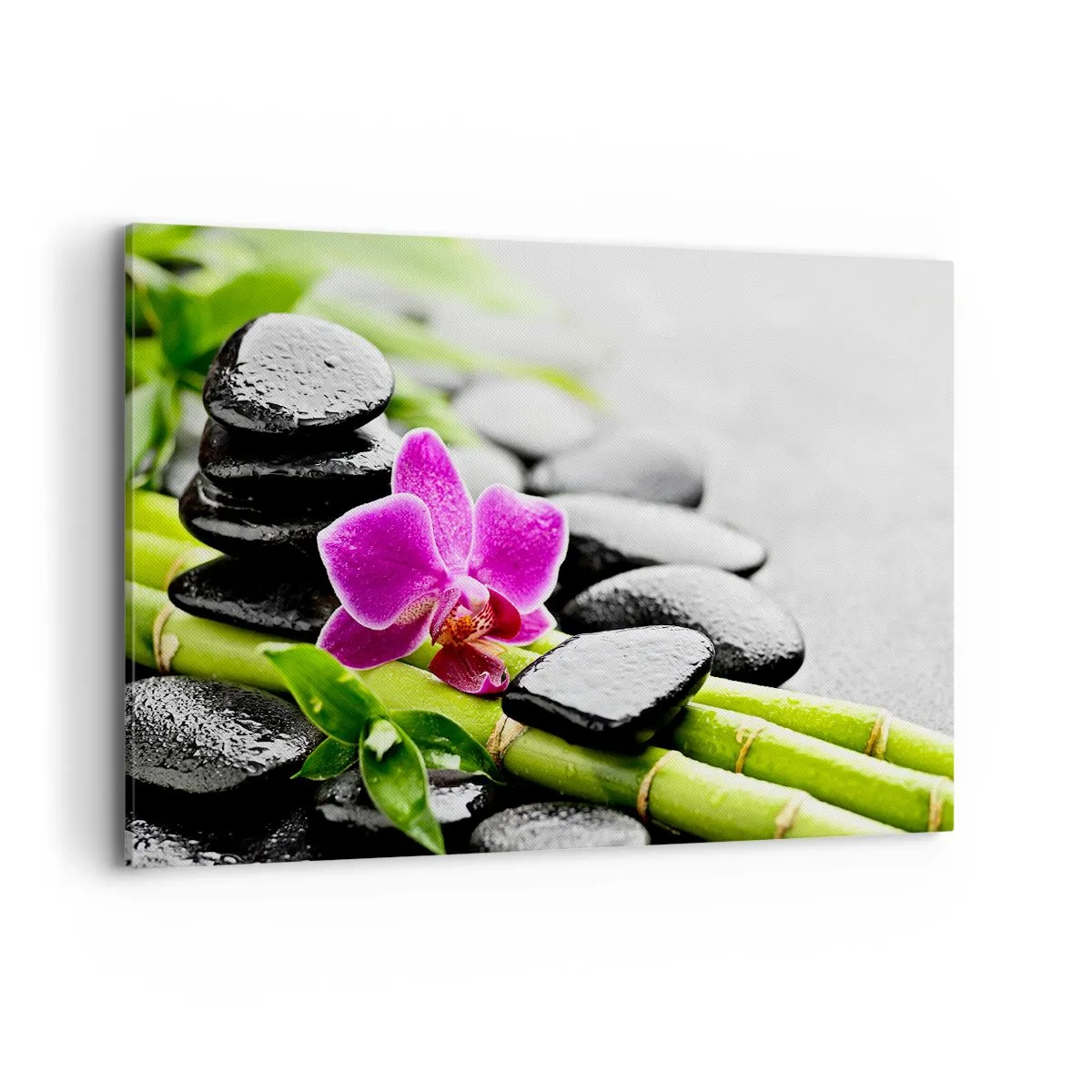 Schilderen op canvas - In een vrede evenwicht - 120x80 cm