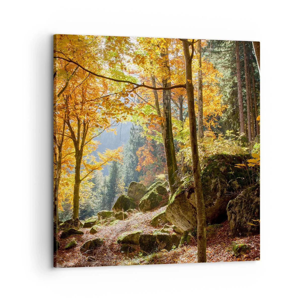 Schilderen op canvas - Tijd om te ontspannen - 60x60 cm