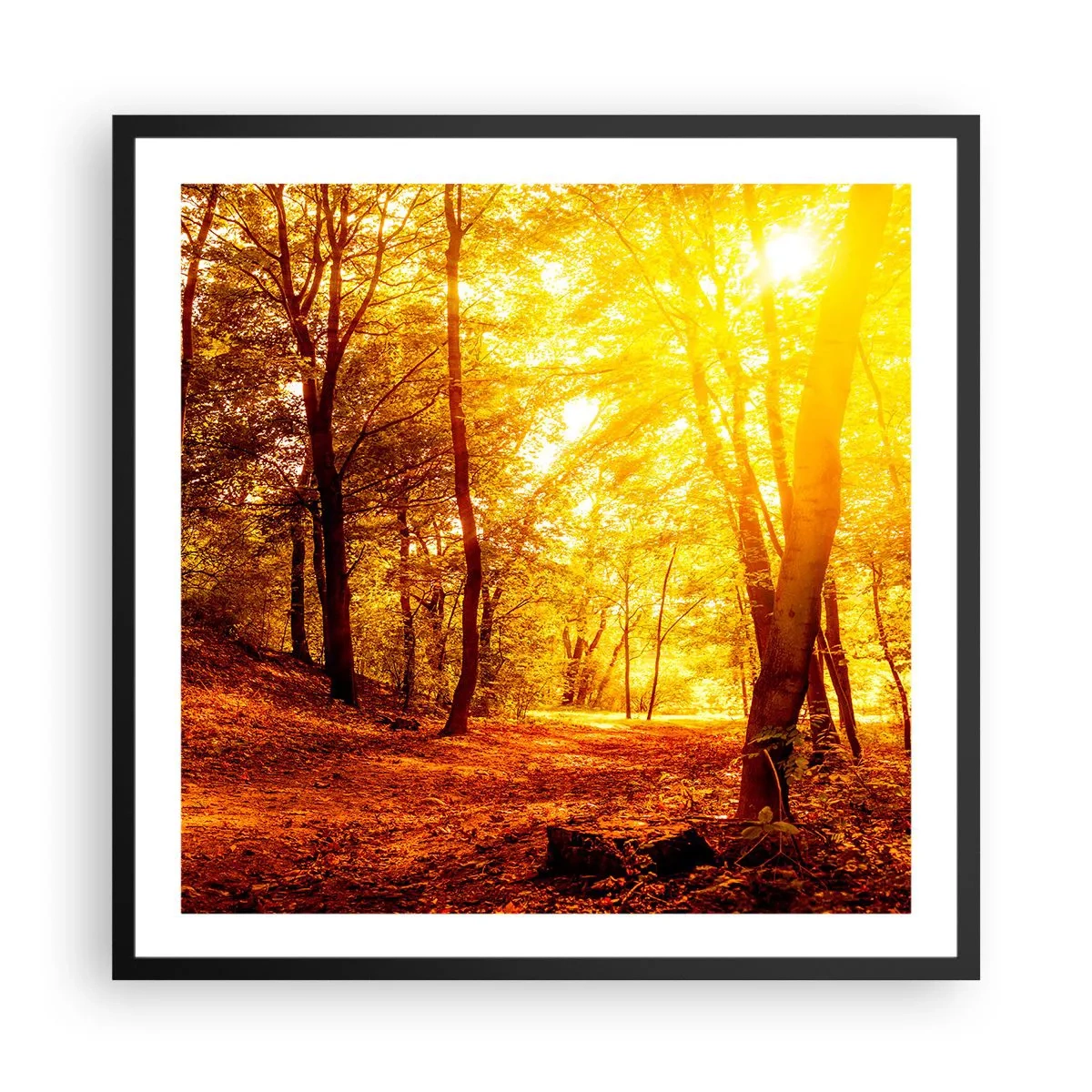 Poster in een zwarte lijst - Op weg naar de gouden open plek - 60x60 cm