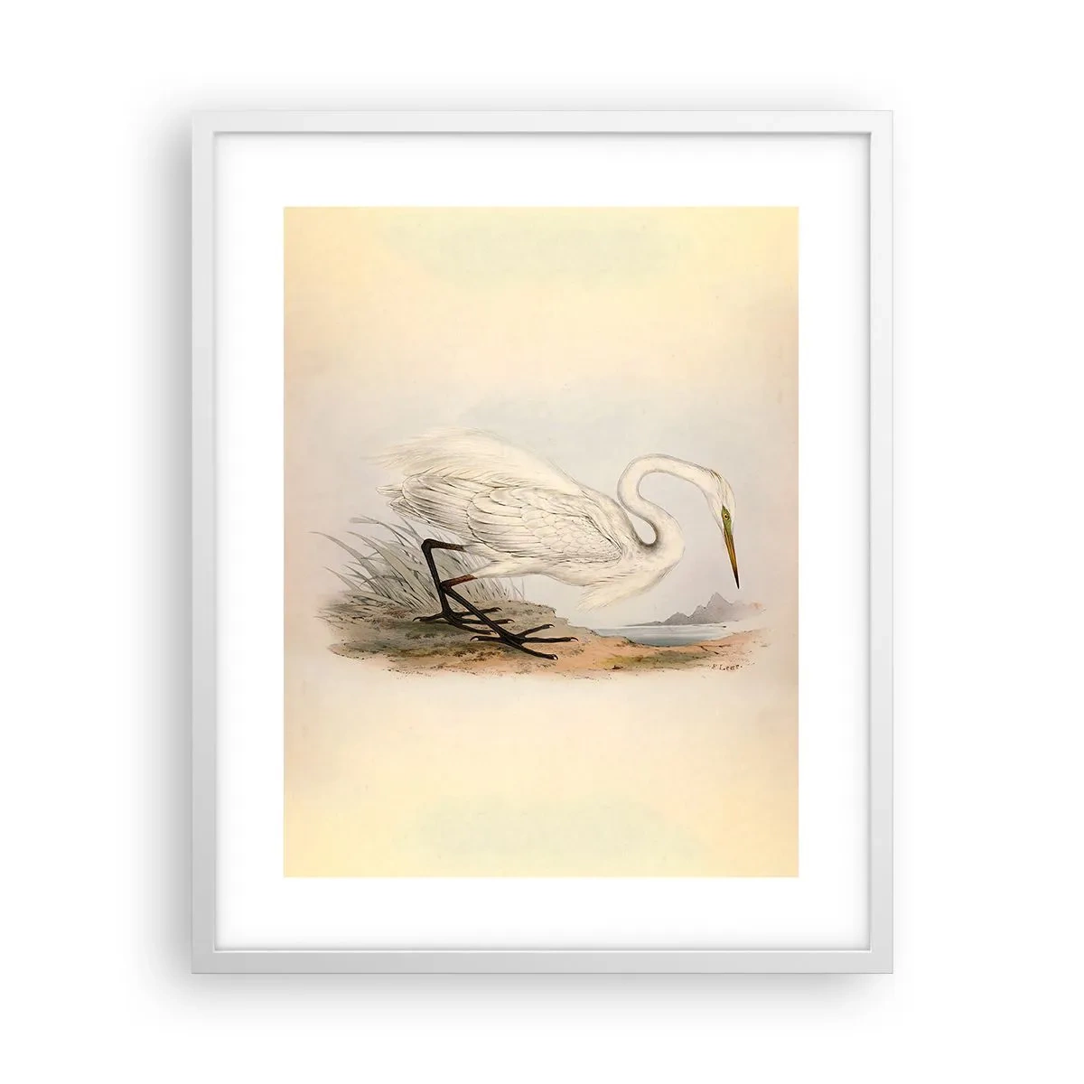 Poster in een witte lijst - Dame op de biezen - 40x50 cm