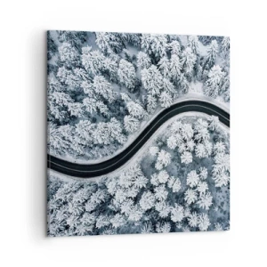 Schilderen op canvas - Door het winterbos - 50x50 cm