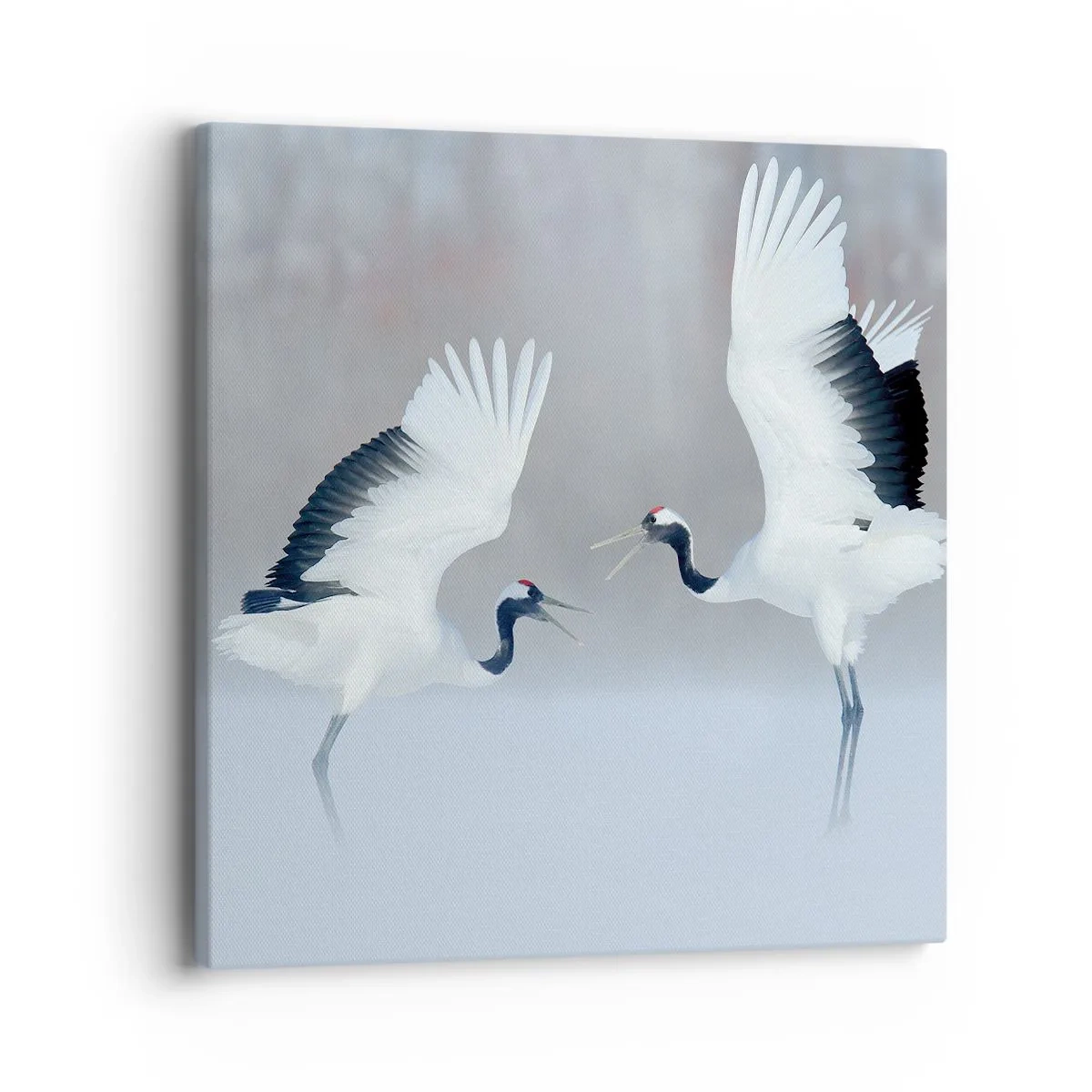 Schilderen op canvas - Dans in de mist - 40x40 cm