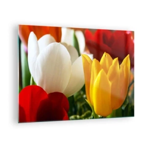 Schilderen op glas - Kleurrijke tulpen close-up - 70x50cm - Tulpenkoorts - Moderne wanddecoratie voor woonkamer en slaapkamer ARTTOR