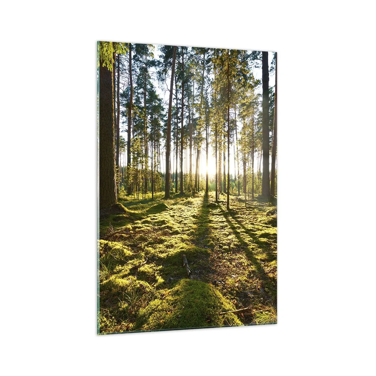 Schilderen op glas - … Achter de zeven bossen - 70x100 cm