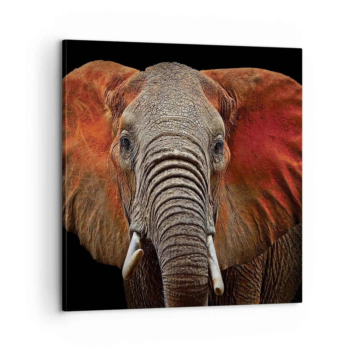 Schilderen op canvas - Ik ben wild, en jij? - 60x60 cm