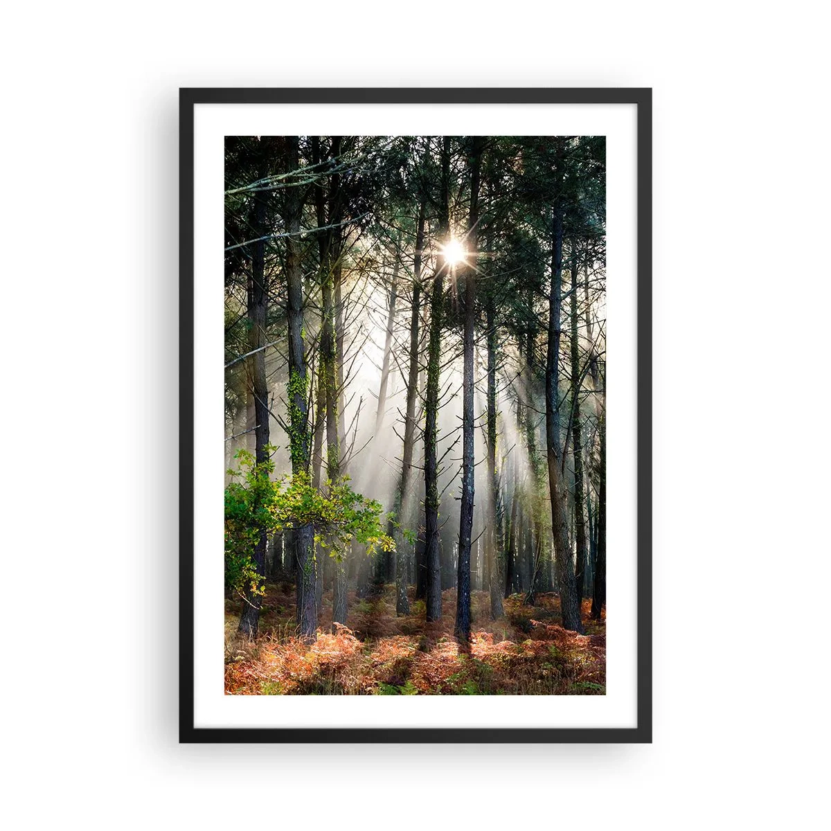 Poster in een zwarte lijst - Magische zonnestralen in het boslandschap - 50x70cm - Heilige bosplek - Moderne wanddecoratie voor woonkamer en slaapkamer ARTTOR