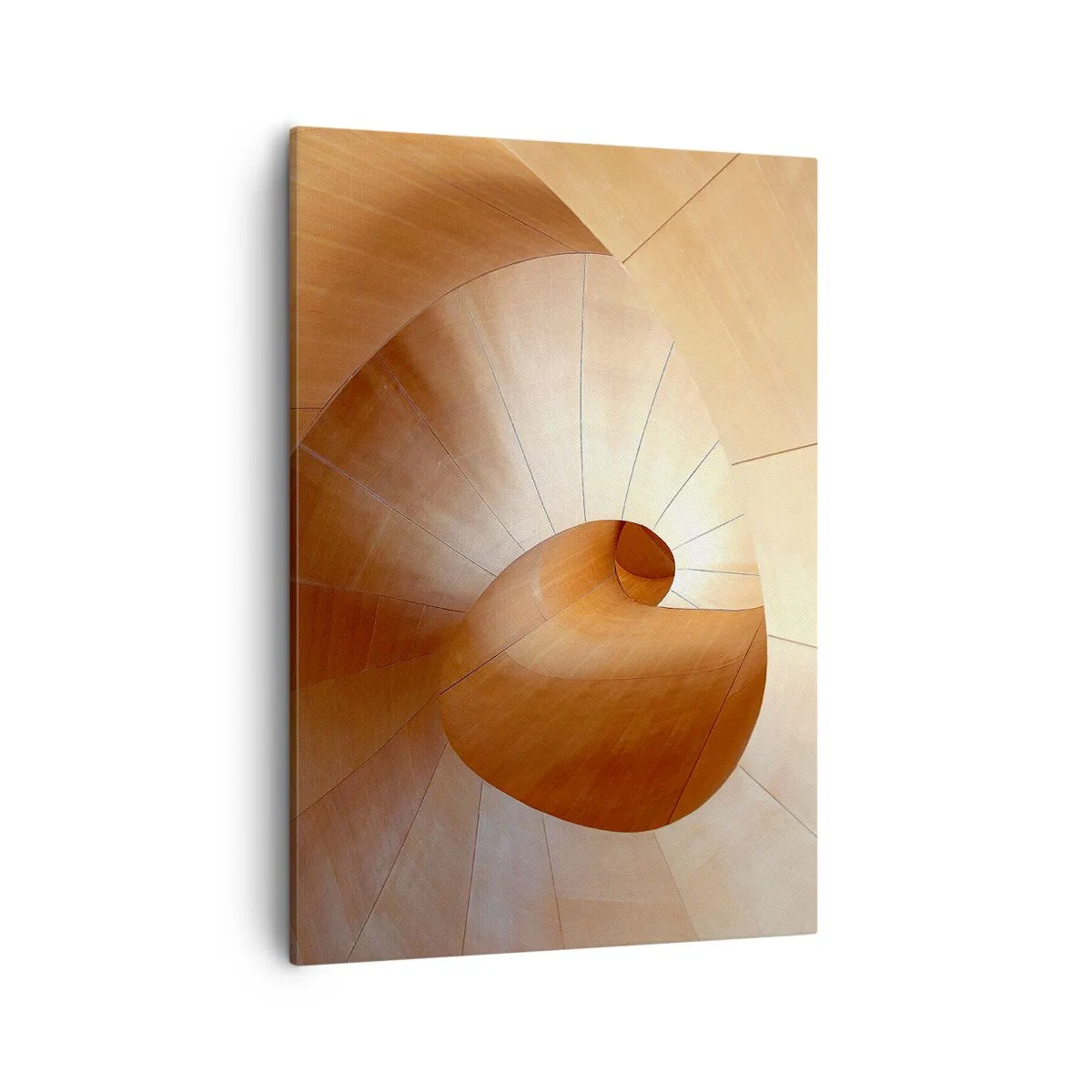 Schilderen op canvas - Architecturale serpentijn - 50x70 cm