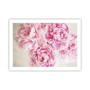 Poster - In roze glamour - 70x50 cm