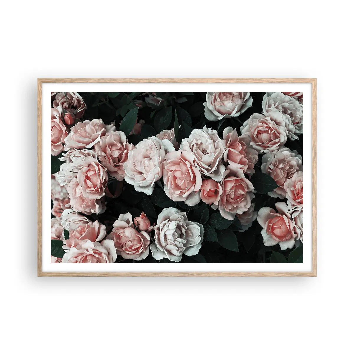 Een poster in een licht eiken lijst - Rozen ensemble - 100x70 cm