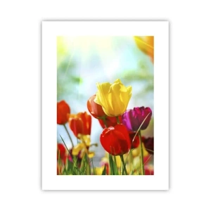 Poster - Alle kleuren van de zon - 30x40 cm