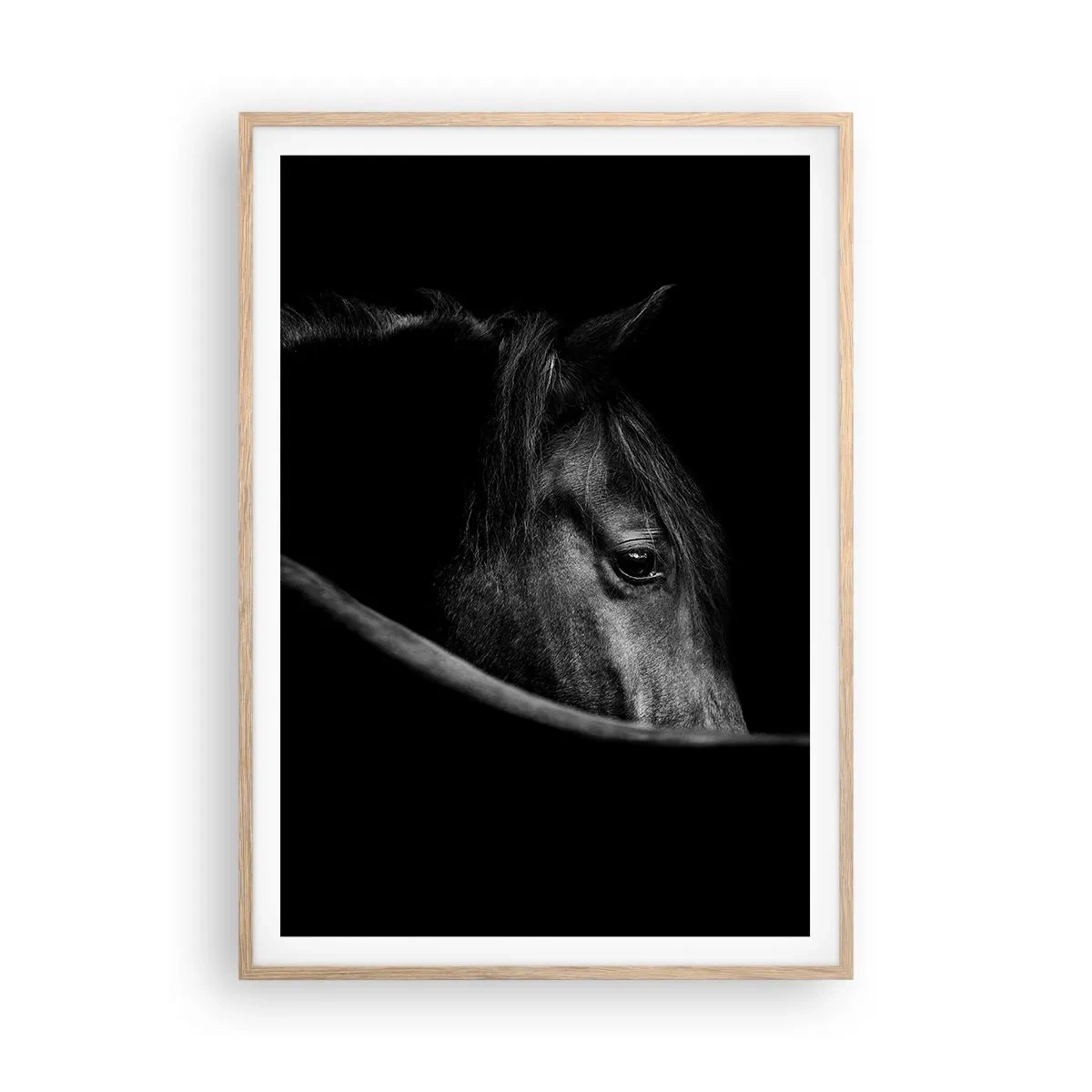 Een poster in een licht eiken lijst - Zwarte Prins - 70x100 cm
