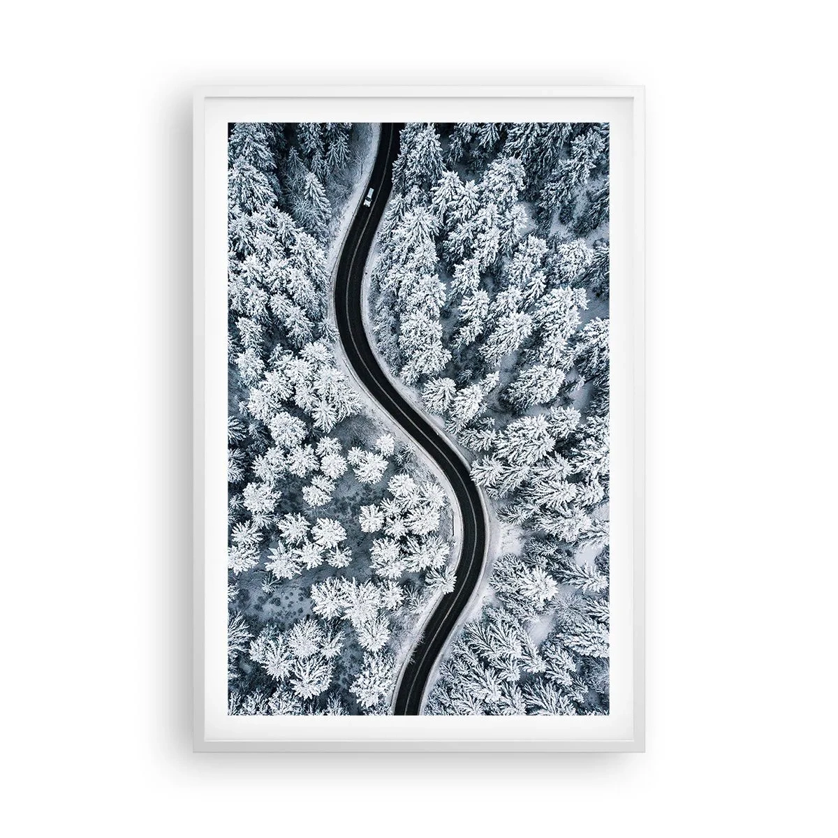 Poster in een witte lijst - Door het winterbos - 61x91 cm