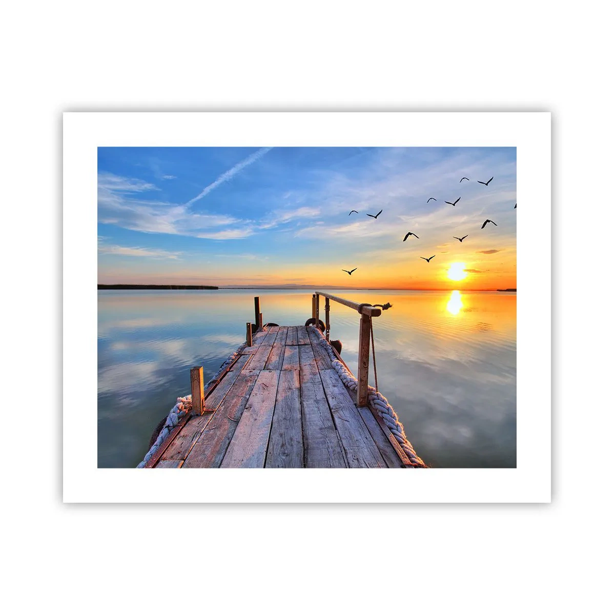 Poster - Loop recht naar de zon - 50x40 cm