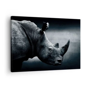 Schilderen op canvas - Zwart-witportret van een neushoorn tegen een donkere achtergrond - 70x50cm - Rechts profiel - Moderne wanddecoratie voor woonkamer en slaapkamer ARTTOR